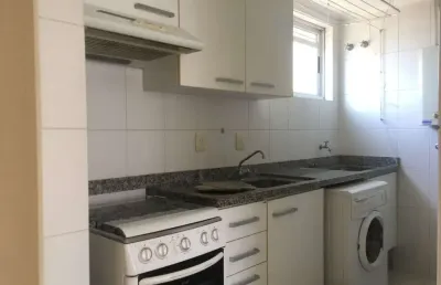 Apartamento com 1 quarto para alugar na Rua João Pio Duarte Silva, Córrego Grande, Florianópolis
