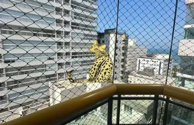 Apartamento com 3 quartos à venda na Avenida Presidente Costa e Silva, 51, Canto do Forte, Praia Grande