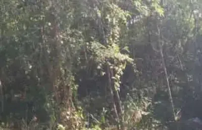 Terreno à venda em Campo Grande, Rio de Janeiro 