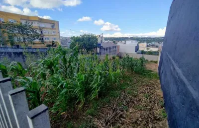 Terreno comercial à venda na Avenida Jacob Macanhan, 3796, Jardim Cláudia, Pinhais