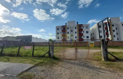 Terreno comercial à venda na Rua Manoel Bandeira, 580, Vargem Grande, Pinhais