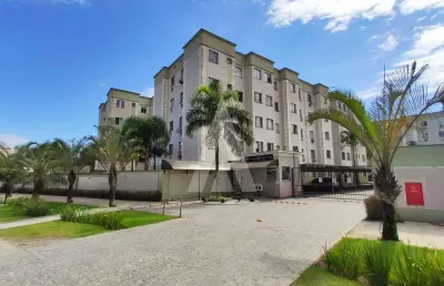 Apartamento com 2 quartos  para alugar, 45.62 m2 por r$1150.00  - boehmerwald - joinville/sc