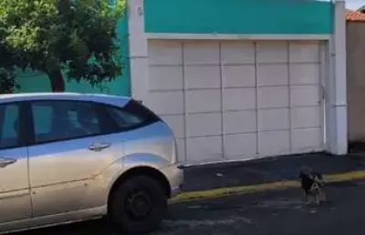 Casa em condomínio fechado com 3 quartos à venda no Residencial Ide Daher, Barretos 