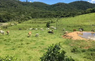 Terreno comercial para alugar no Parque Rio Abaixo, Atibaia 