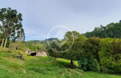 Sítio de 17 hectares, em alfredo wagner-sc. codigo: 98927