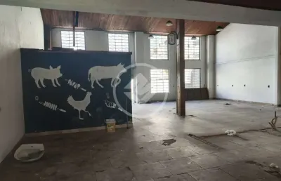 Terreno com galpão campinas são josé codigo: 115831