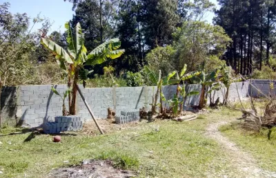 Chácara / sítio com 3 quartos à venda na Rua Manoel dos Santos, 200, Meu Cantinho, Suzano
