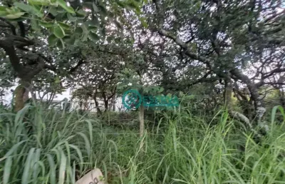 Terreno para alugar, 360 m² por r$ 1.000,00/mês - lundcea - lagoa santa/mg