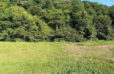Terreno em alphaville com vista para mata c/ 490 mts, c/ projeto aprovado!
