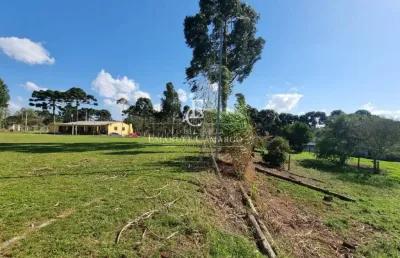 Chácara / sítio com 3 quartos à venda na Rua Minervino de Oliveira e Souza, Borda do Campo, Piraquara