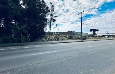 Terreno à venda na Rua Barão do Cerro Azul, Centro, Piraquara