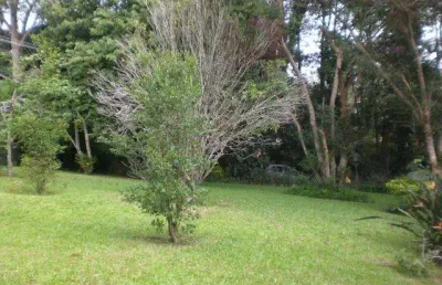 Terreno para empreendedor à venda, 6657 m² por r$ 5.326.000 - granja viana - cotia/sp
