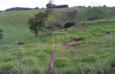 Área à venda, 121000 m² por r$ 2.000.000,00 - jardim camargo (canguera) - são roque/sp