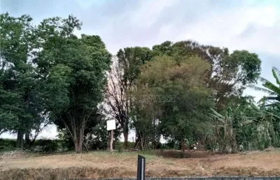 Terreno comercial à venda na Rua Sílvio Pedroso, 47, Centro, Cotia