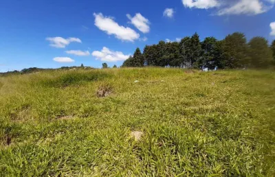 Terreno à venda na Estrada dos Pinheiros, 799, Chácaras Monte Serrat, Itapevi