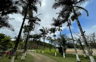 Sítio a venda em camboriú, rio canoas, camboriú - sc