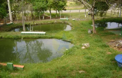Chácara à venda, 5000 m² por r$ 720 mil, piracaia sp
