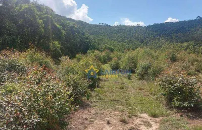 Sítio à venda no moinho, nazaré paulista – 31.000 m²