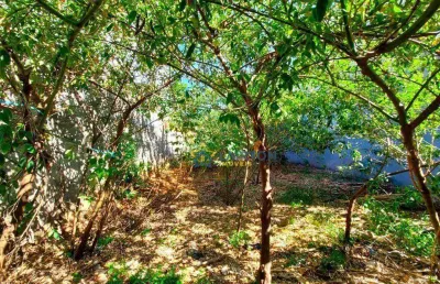 Terreno disponível para venda no bairro nova cerejeiras!