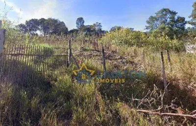 Terreno à venda com 2.025m² – amplo, arborizado e com topografia aclive!