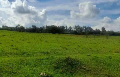 Chácara / sítio com 2 quartos à venda na Zona Rural, Porto Feliz 