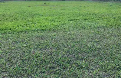 Terreno em condomínio fechado à venda no Residencial Primavera, Salto 
