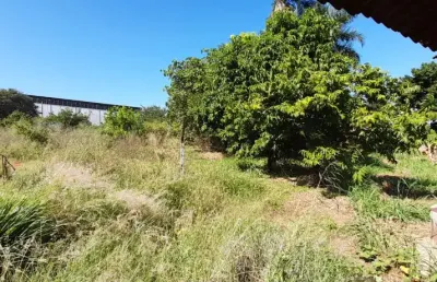 Ótimo local para construção de barracão  próximo a rodovia br 153