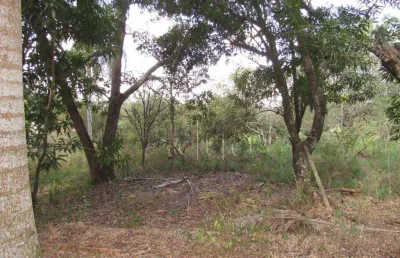 Área à venda, 8870 m² por r$ 650.000,00 - colinas do piracicaba (ártemis) - piracicaba/sp