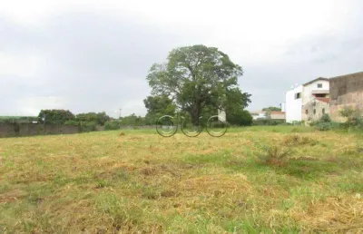 Terreno para alugar, 5000 m² por r$ 6.000,00/mês - nossa senhora de fátima - piracicaba/sp