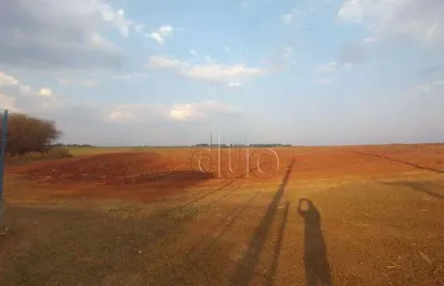 Terreno para alugar, 107000 m² - comendador mário dedini - piracicaba/sp