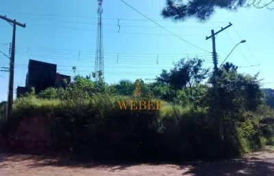 Terreno à venda, 452 m² por r$ 160.000,00 - jardim são joão - francisco morato/sp