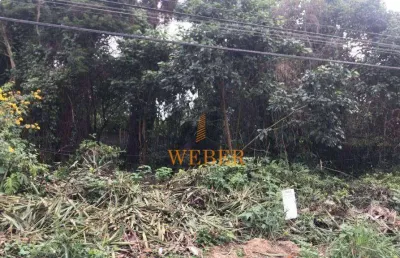 Terreno à venda, 500 m² por r$ 275.000,00 - jardim colibri - cotia/sp