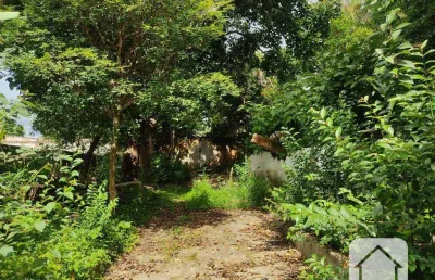 Terreno para alugar, 660 m² por r$ 8.884,82/mês - butantã - são paulo/sp