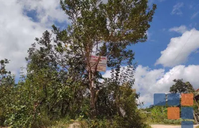 Terreno à venda, 4000 m² por r$ 150.000,00 - ravena - sabará/mg