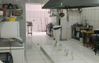 Sobrado com 03 dormitórios à venda, 250 m² na jardim las vegas - santo andré/sp