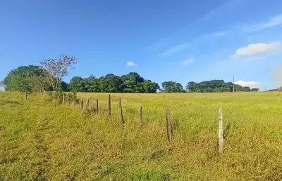 Terreno à venda, 8584 m² por r$ 200.000,00 - canta galo - pouso alegre/mg