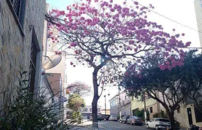 Sobrado à venda, 111 m² por r$ 457.000,00 - vila bertioga - são paulo/sp