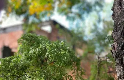 Terreno à venda em duque de caxias, gramacho, com 297 m², presidente kennedy