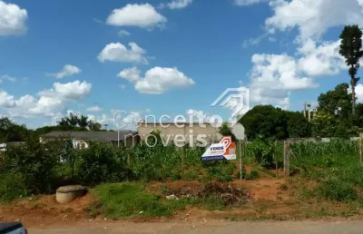 Terreno à venda na Rua Bem-te-vi, Frente 940, Piriquitos, Ponta Grossa