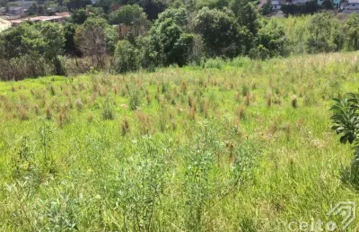 Terreno à venda na Rua José de Oliveira Franco, próximo 1, Chapada, Ponta Grossa