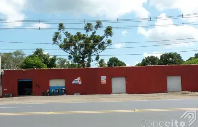 Imóvel comercial - bairro piriquitos - rodovia br 376