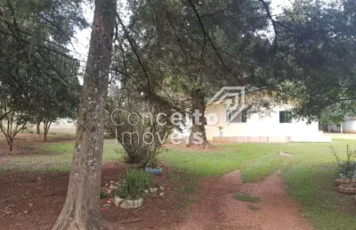 Chácara / sítio com 3 quartos à venda na Rua Estevam Dropa, 1, Jardim Carvalho, Ponta Grossa