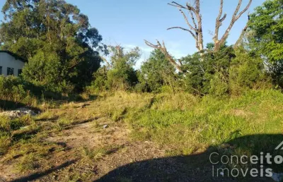 Terreno comercial para alugar na Avenida Souza Naves, lado do 38, Chapada, Ponta Grossa