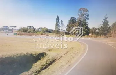 Terreno comercial no trevo br 373 - saída para br 376