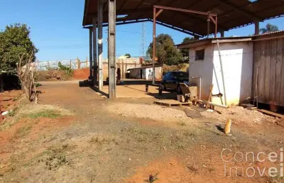 Barracão / Galpão / Depósito à venda na Rua Izabel Ossowski, 04, Piriquitos, Ponta Grossa