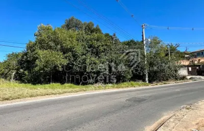 Terreno à venda na Rua Apucarana, s/n, Nova Rússia, Ponta Grossa