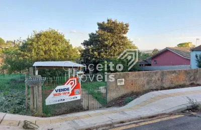 Casa com 3 quartos à venda na Rua João Visinoni, 293, Colônia Dona LuÍza, Ponta Grossa