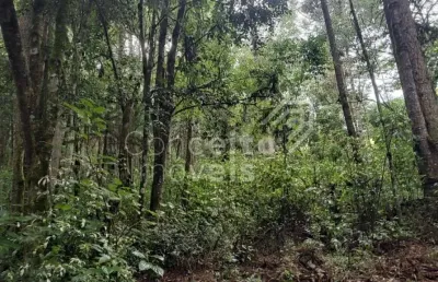 Chácara / sítio à venda no Bom Sucesso, Castro 