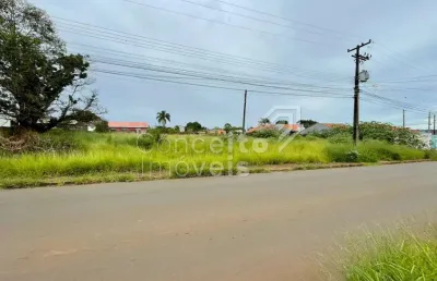 Terreno à venda na Rua Maria Luíza da Silva, 297, Cará-cará, Ponta Grossa