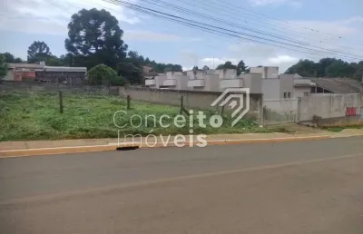 Terreno à venda na Rua Esther Johansen, Cará-cará, Ponta Grossa